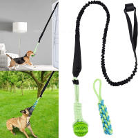 Juguete Interactivo Para Perros Juego De Tirar Y Retener Bola Colgante Con Correa De Malla Para Limpieza De Dientes Y Divertido Para Interior Y Exterior - details 4
