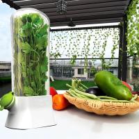 Contenedor De Almacenamiento Para Hierbas KAURIJIA Ecológico Plástico Capacidad 250ml Guarda Frescura De Cilantro Menta Parsley Y Asparagus En Cocina - details 3