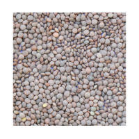 Lenteja pardina de ALVAREZ (Pack de 2 sacos de 1kg) - details 2