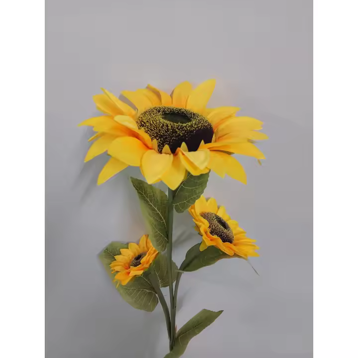 Girasol X3 120Cm D25 - 1