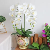 1Pcs Gran Tamaño Artificial Filo De Orquídea Falsa En Latex Toque Real 5 Pétalos Verde Para Jardín De Flores Simulación De Moth - details 4