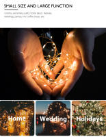 Luces De Cadena LED Con Hilo De Cobre 2M 3M 5M 10M Para Decoración De Fiesta De Boda Y Navidad Iluminación De Guirnalda Eléctrica Al Piloto - details 1