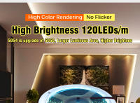 Tira LED Flexible 5054 DC12V 120LEDs/m Alta Brillo 3000K 4000K 6000K 7000K IP67 Para Iluminación De Habitaciones - details 3