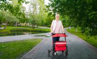 AREBOS Caminador Andador Plegable de Aluminio con Ruedas Ligero con Frenos 136kg Rojo - details 0