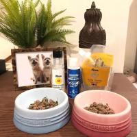 Tazón De Alimentos Para Mascotas Extra Ancho Anti Derrames Elevado Alivio Del Estrés De Pecho Para Gatos Y Perros Cerámica - details 9