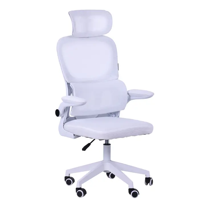 Mars Gaming MGC-ERGOPRO, Silla Ergonómica Profesional, Soporte Lumbar Activo, Malla Transpirable, Altura Ajustable 120-130cm, Reposabrazos Abatibles, Reposacabezas Regulable, Silla de Oficina, Silla de Escritorio Negra o Gris - 1