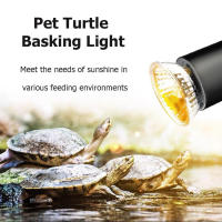 Bombilla De Calentamiento Para Reptiles UVA+UVB 25/50/75W Luz De Bañado Para Tortugas Y Amfibios Controlador De Temperatura Para Lámparas De Calefacción - details 7