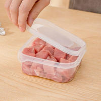 Caja De Almacenamiento Para Carne Congelada Y Alimentos De Plástico De Grado Alimenticio Con Cierre Hermético Para Nevera Y Cocina - details 4