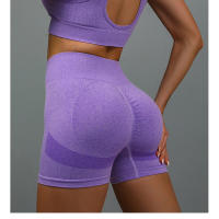 Shorts De Cintura Alta Sin Costuras Para Mujer Estilo Deportivo Y Yoga Secado Rápido Elevación De Glúteos Para Running Y Fitness - details 10