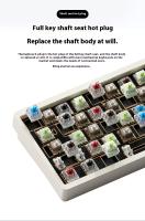Teclado Mecánico Weikav Lucky65 V2 Kit De Personalización 3 Modos Bluetooth Hotswap Estructura De Ganchos RGB Regalo Para Gaming - details 14