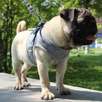 Juego De Arnes De Malla Para Perros Pequeños Y Gatos Accesorios De Entrenamiento Transpirables Para Bulldog Pug Cachorro Correa Respirable De Vínculo - details 6
