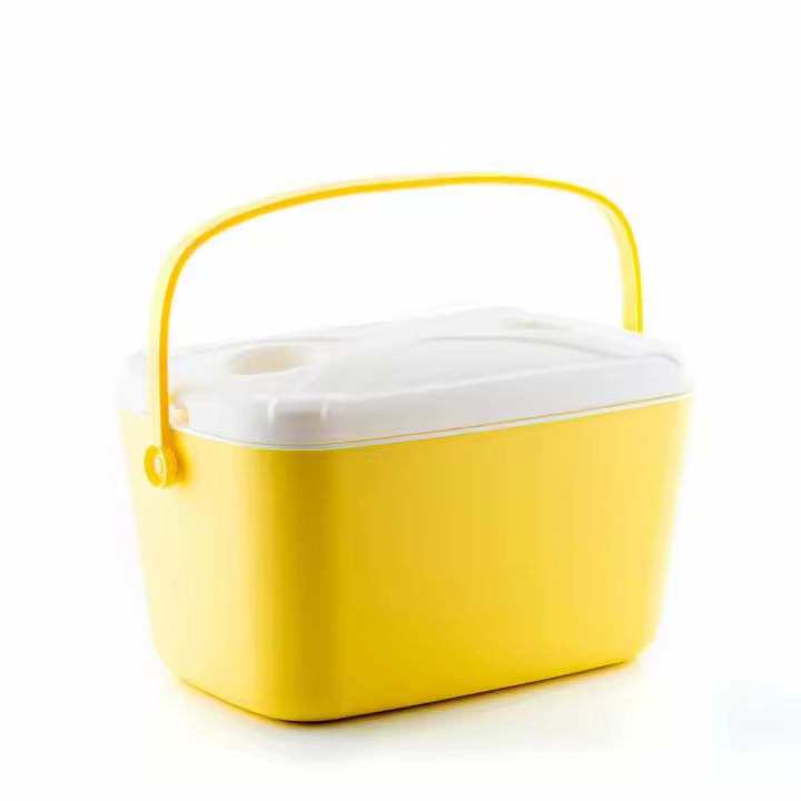 Nevera Portátil Rígida Lilty InnovaGoods 15 L - 1