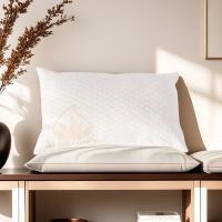 STARLEY-Almohada Viscoelástica Aloe Vera Viaje 30x50cm - details 0