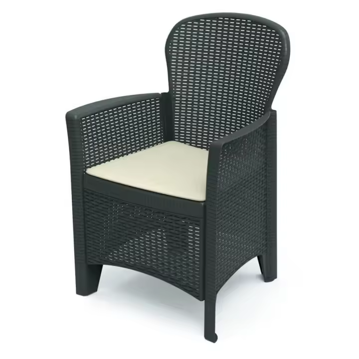 Sillón de Resina Folia Antracita + Cojín - PROGARDEN - 1