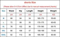 Nuevos Shorts De Entrenamiento Deportivos Trendy Con Tres Puntos Secado Rápido Para Hombres Pantalones Elásticos Para Correr Y Field Fitness Shorts De Playa - details 0