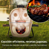 Barbacoa de Carbón Cerámica Cecotec Dragonfire 3200 Kamado 32 cm - details 5