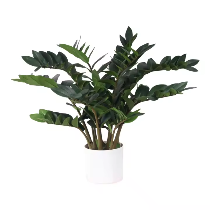 Poenia Arte Floral - Planta ZAMIOCULCA Artificial 75cm - Ref 631344 - Realista - Planta Decorativa de Interior - Planta Falsa de Aspecto Natural - Ideal para Hogar y Oficina - Sin Mantenimiento - 1