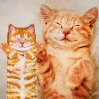 Divertidos Gatos Toalla de Mano-Decoración Gato Toalla Colgantes para Baño Trapos de Cocina-Animal Absorbente suave Toallas-regalos Graciosos Para Originales Mujer Amantes de Los Gatos-Sonrisa Naranja - details 0