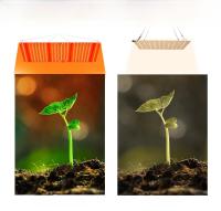 Lámpara De Crecimiento Para Plantas LED De 300W Espectro Completo 220V Quantum Board Para Hidroponia Iluminación De Frutas Y Suculentas Para Invernadero - details 7