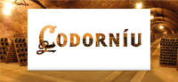Codorníu Prima Vides - Cava Brut Ecológico - Caja 6 botellas 75cl - details 0