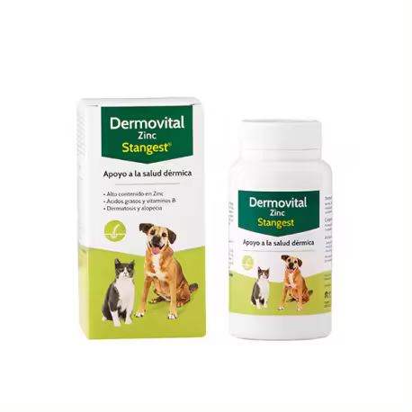 DERMOVITAL ZINC 60cp - 1