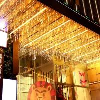 Guirnalda De Luces LED Para Exterior 4x0.6m Decoración De Navidad Para Patio Fénix De Hadas Cinta De Luces Para Bodas Y Jardines - details 5