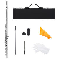 FLUTE TRANVERSAL PROFESSIONAL SLADE 16 TONO C CON CLAVES CERRADAS Y ABERTAS INSTRUMENTO MUSICAL DE CONCIERTO CON Caja Paño De Limpieza Y Guantes - details 0