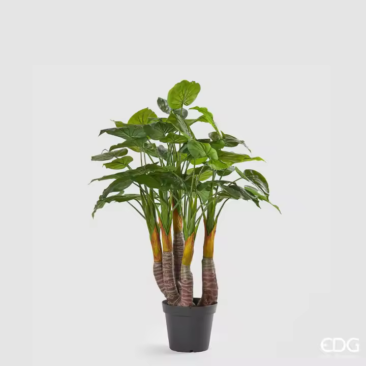 EDG Enzo De Gasperi Filodendro Planta con Jarrón Artificial H 120 Cm Verde - 1