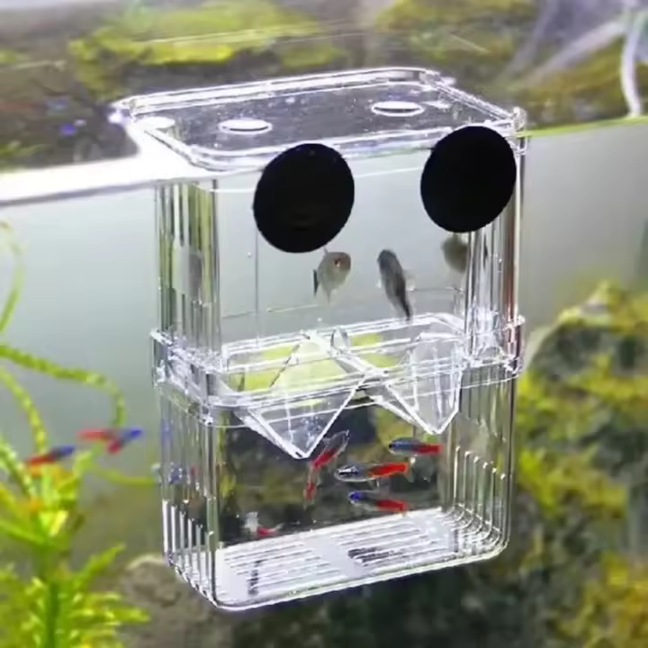 Incubador De HATCHING Para Acuario Caja De Cría De Peces Duradera Para Betta Y Camarones Caja De Aislamiento Para Pesca - 1