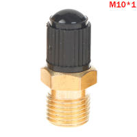 Válvula De Neumático Para Automóvil Y Motocicleta 1/4 NPT 1/8 NPT M10*1 Monitoreo De Presión De Neumáticos Material De Cobre Puro - details 10