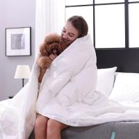 ARISE-DREAM HOME Relleno Nórdico Para Cama De Fibra Reciclada, cama 90-cama150cm Tejido De Microfibra 100% Poliester Peso De Relleno 400gramos/m2 - details 1