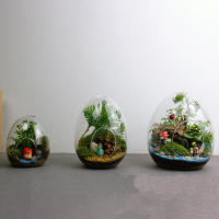 Florero de vidrio suculento de escritorio, globo de vidrio transparente, maceta de vidrio suculenta para mesa, plantador de plantas de aire suculentas - details 1