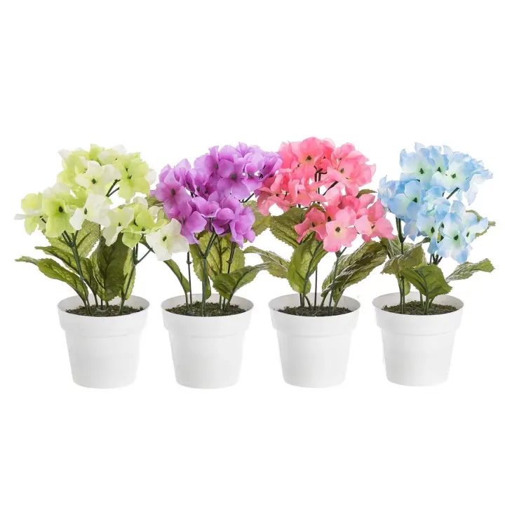 DAMDAM GO  Pack 4 Planta Hortensia Decorada en Maceta 27 cm. - 1
