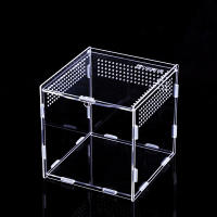 Caja De Alimentación Para Reptiles De Acrílico Terrario Transparente Hogar Para Insectos Araña Lagartos Escorpiones Caja De Encierro Arbóreo - details 4
