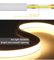 Tira De LED COB Neon 24V 10M Con Control Remoto RF Dimmable 320 LEDs/m Flexible Para Decoración De Jardín Luz De Tubo De Cinta - details 2