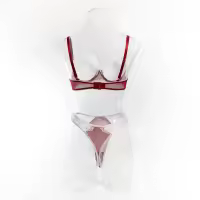 Lencería Sexy De Contraste Negro Y Blanco Conjunto De 2 Piezas Translúcido Con Bordado En Forma De Corazón Y Lazo Sujetador Y Brief Para Mujer - details 25