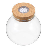 Botella De Terrario De Vidrio Borosilicato Ecológico Con Tapa Y Moss Para DIY Mini Acuario Landscape Blanco Sin LED - details 4