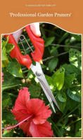 Tijeras De Poda De Acero Inoxidable Con Mango Antideslizante Para Ramas Afiladas Herramientas De Poda Para Jardín Y Frutas - details 1