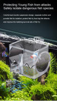Incubador De Aislamiento Para Acuario De Peces Tanque De Incubación Multifuncional Con Tubo De Aire De 2M Material Plástico - details 2