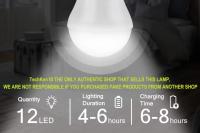 2 Luz de camping solar portáthil, Bombilla solar LED lámpara de emergencia solar Luz Jardín linterna iluminación solar with Panel de bombilla de gancho para camping, pesca, senderismo, interior - details 0