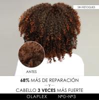 Olaplex N. 0 Intensive Bond Building Treatment 155 Ml - details 2
