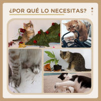 PawHut Árbol para Gatos de Suelo a Techo de 225-255 cm Torre para Gatos Altura Ajustable con Cueva Plataformas Hamaca Postes Rascadores Rampas y Bolas Colgantes Ø48x225-255 cm Beige - details 4