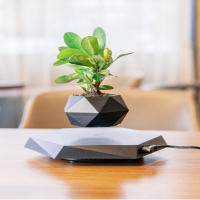 Maceta Flotante Magnética Levitación Para Plantas Sin Tierra Maceta De Rotación Para Decoración Del Hogar Con Diseño De Bonsái - details 10