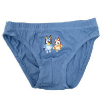 Pack 3 Slip de Niño Bluey, Ropa Interior Niños de 2 a 6 años Bluey y Bingo, Calzoncillos Infantiles 100% Algodón, Regalo Cumpleaños, Navidad, Reyes - details 0