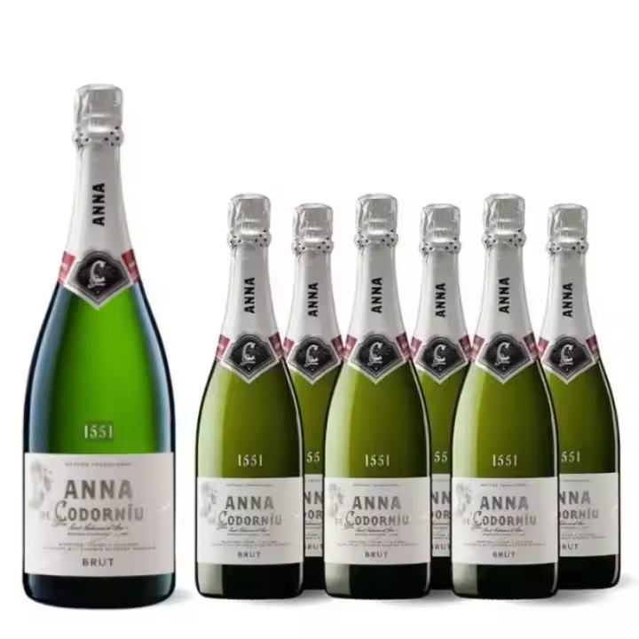 Pack 6 Anna de Codorníu 75cl + Magnum 1,5L - Cava Brut - 1