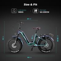 Bicicleta eléctrica Fafrees F20 Master Neumático de aire de 20 * 4,0 pulgadas Tracción trasera de 500 W 25 km / h Velocidad máxima 48 V 22,5 Ah Batería Samsung Alcance de 140-160 km Frenos de disco hidráulicos Cuadro de fibra de carbono - Negro - details 9