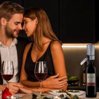 Decantador Eléctrico USB Inteligente Para Vino Fácil De Limpiar Dispensador De Vino Creativo Material Plástico Barra Herramientas - details 1