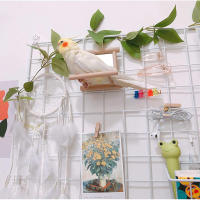 Juguete Interactivo De Madera Para Pájaros Con Espejo Y Trepado Para Periquitos Pequeños Cotorras Conure Y Loros Accesorios De Jaula - details 3