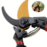 Tijeras De Jardinería Para Podar Árboles Frutales Herramienta De Poda Floral Para Recoger Frutas YOUZHI Originales De China - details 5