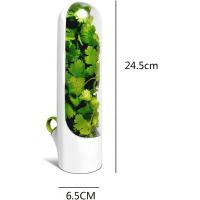 RELAXTY Conservador de Hierbas Frescas - Porta Almacenaje de Hierbas para Frigorifico Recipiente Contenedor Verduras - details 2